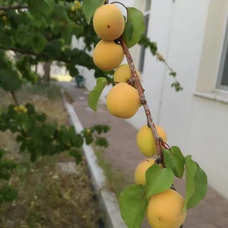 호텔 Chiostro Delle Cererie 마테라