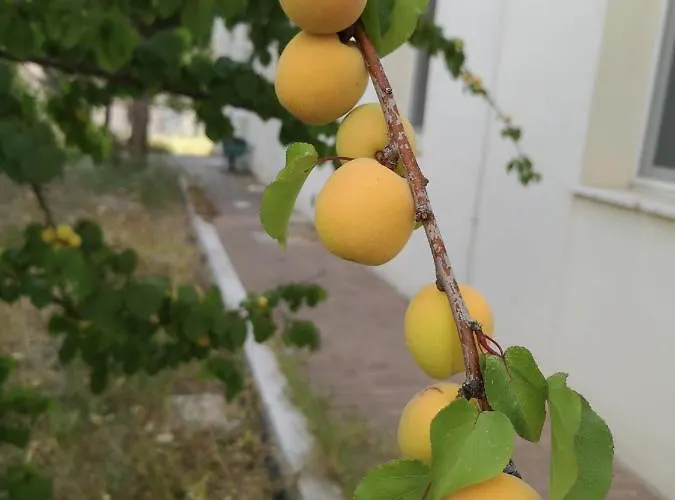 Hotel Chiostro Delle Cererie Matera